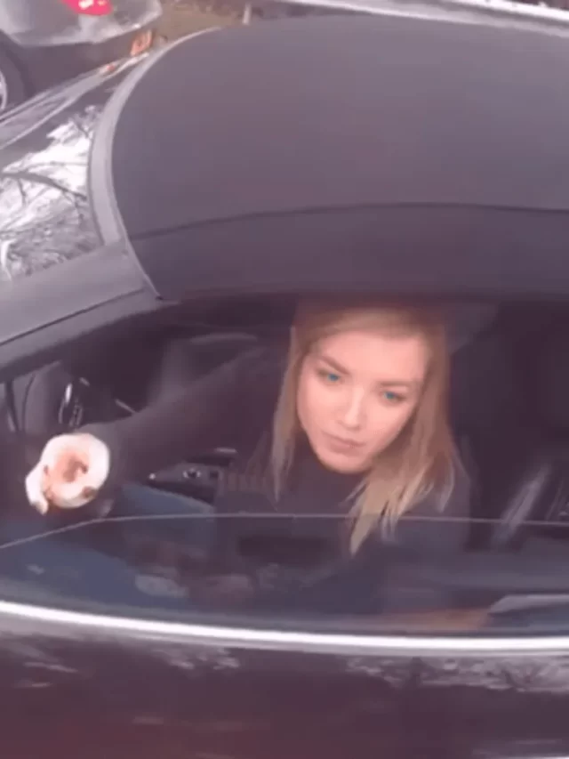 Truck driver gets sweet revenge against the wealthy woman who blocked him on the road